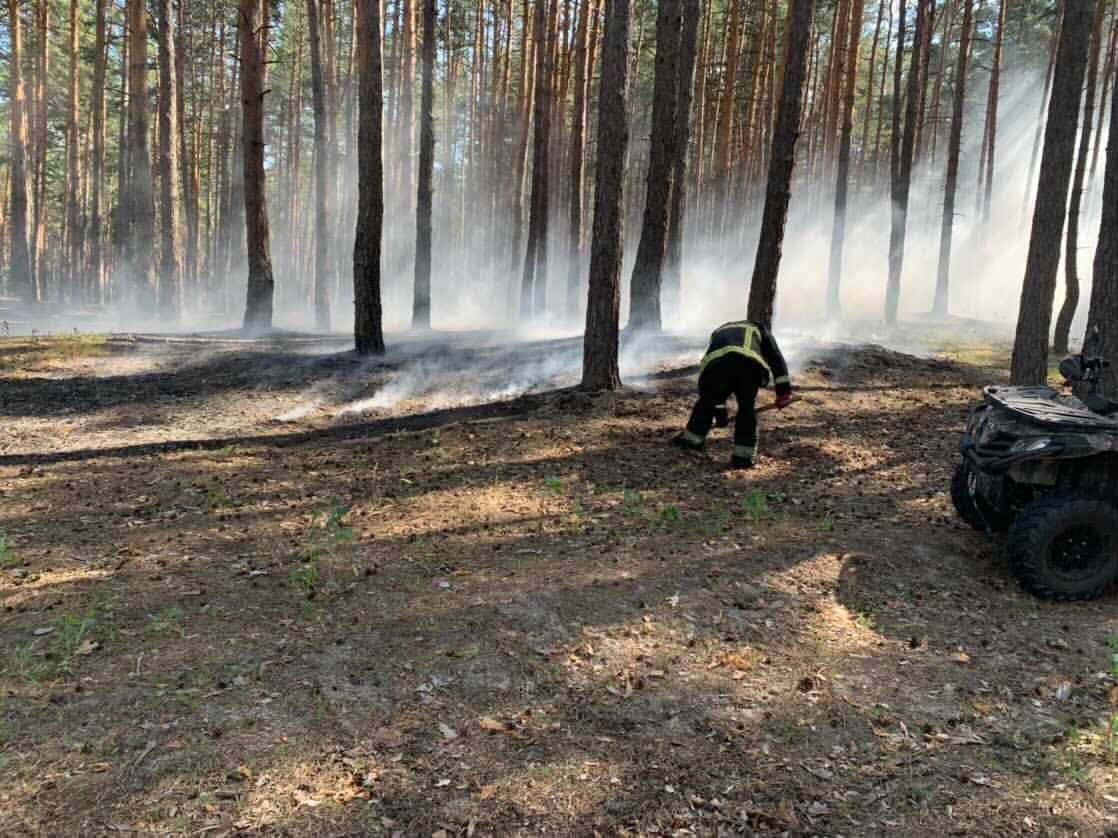 На Безлюдовке едва не сгорел лес из-за шашлыка